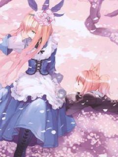 禅宗花园